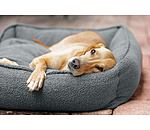 Dog Bed Square