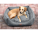 Dog Bed Square