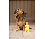 Squeaky Dog Toy Ice Lolly