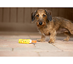 Squeaky Dog Toy Ice Lolly