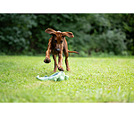 Dog Toy Octopus