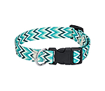 Collar and Lead Set Zap