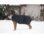 Quilted Dog Coat with Teddy Fleece Lining Holly