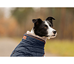 Quilted Dog Coat with Teddy Fleece Lining Holly