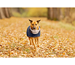 Quilted Dog Coat with Teddy Fleece Lining Holly