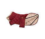 Quilted Dog Coat with Teddy Fleece Lining Holly