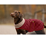 Quilted Dog Coat with Teddy Fleece Lining Holly