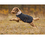 Quilted Dog Coat with Teddy Fleece Lining Holly