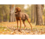 Quilted Dog Coat with Teddy Fleece Lining Holly