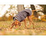 Quilted Dog Coat with Teddy Fleece Lining Holly
