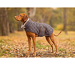 Quilted Dog Coat with Teddy Fleece Lining Holly