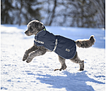 Dog Coat with Liner System Northwood