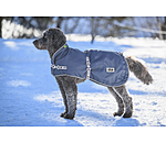 Dog Coat with Liner System Northwood