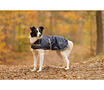 Dog Coat with Liner System Northwood