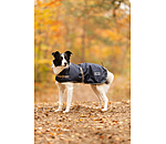 Dog Coat with Liner System Northwood