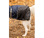 Dog Coat with Liner System Northwood
