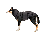 Lightweight Thermal Dog Jacket Anton
