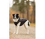 Lightweight Thermal Dog Jacket Anton