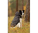 Lightweight Thermal Dog Jacket Anton