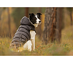 Lightweight Thermal Dog Jacket Anton