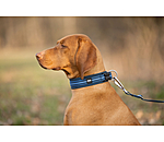 Collar Comfort Fit