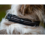 Collar Comfort Fit