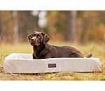 Dog Bed Komet