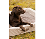 Dog Bed Komet