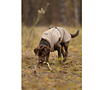 Teddy Fleece Dog Coat Frido