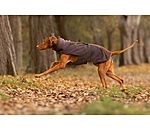 Teddy Fleece Dog Coat Frido