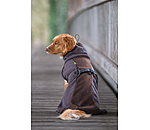 Teddy Fleece Dog Coat Frido