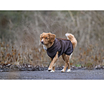 Teddy Fleece Dog Coat Frido