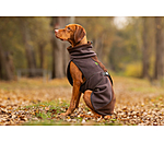 Teddy Fleece Dog Coat Frido