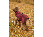 Teddy Fleece Dog Coat Frido