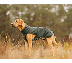 Teddy Fleece Dog Coat Frido
