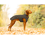 Undercoat and Fleece Jumper Basic