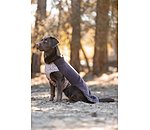 Undercoat and Fleece Jumper Basic