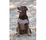 Undercoat and Fleece Jumper Basic