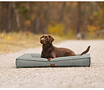 Dog Bed Carlo