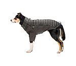 Performance Stretch Combination Dog Coat Baldo, 160g