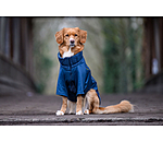 Performance Stretch Combination Dog Coat Baldo, 160g
