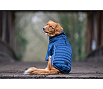 Performance Stretch Combination Dog Coat Baldo, 160g