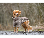 Performance Stretch Combination Dog Coat Baldo, 160g