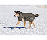 Thermal Dog Coat Archie Snow Drift, 200g