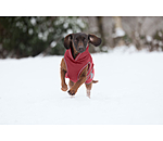 Thermal Dog Coat Archie Snow Drift, 200g
