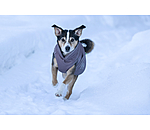 Thermal Dog Coat Archie Snow Drift, 200g