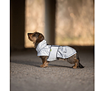 Dachshund Hi-Vis Coat George with Fleece Lining