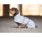 Dachshund Hi-Vis Coat George with Fleece Lining