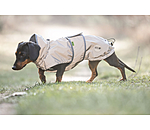 Dachshund Hi-Vis Coat George with Fleece Lining