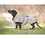 Dachshund Hi-Vis Coat George with Fleece Lining